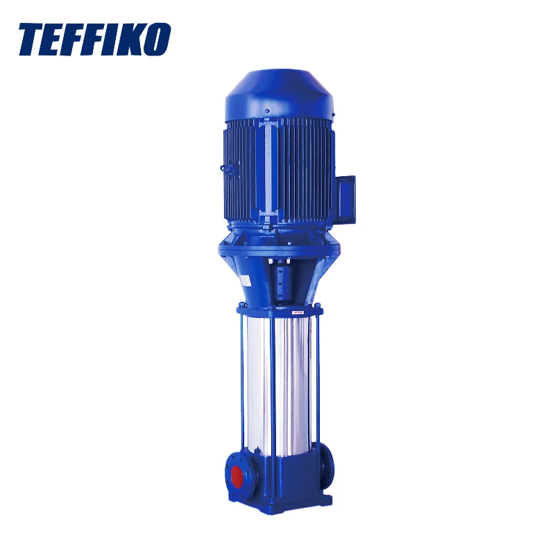 ປັ fries ມມທີ່ມີການ multicage ຕັ້ງ centrifugal pump